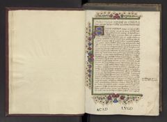 Repository sample for Leiden, Universitaire Bibliotheken, BPL 16 D · 008 - opening04 (incl. f001r)